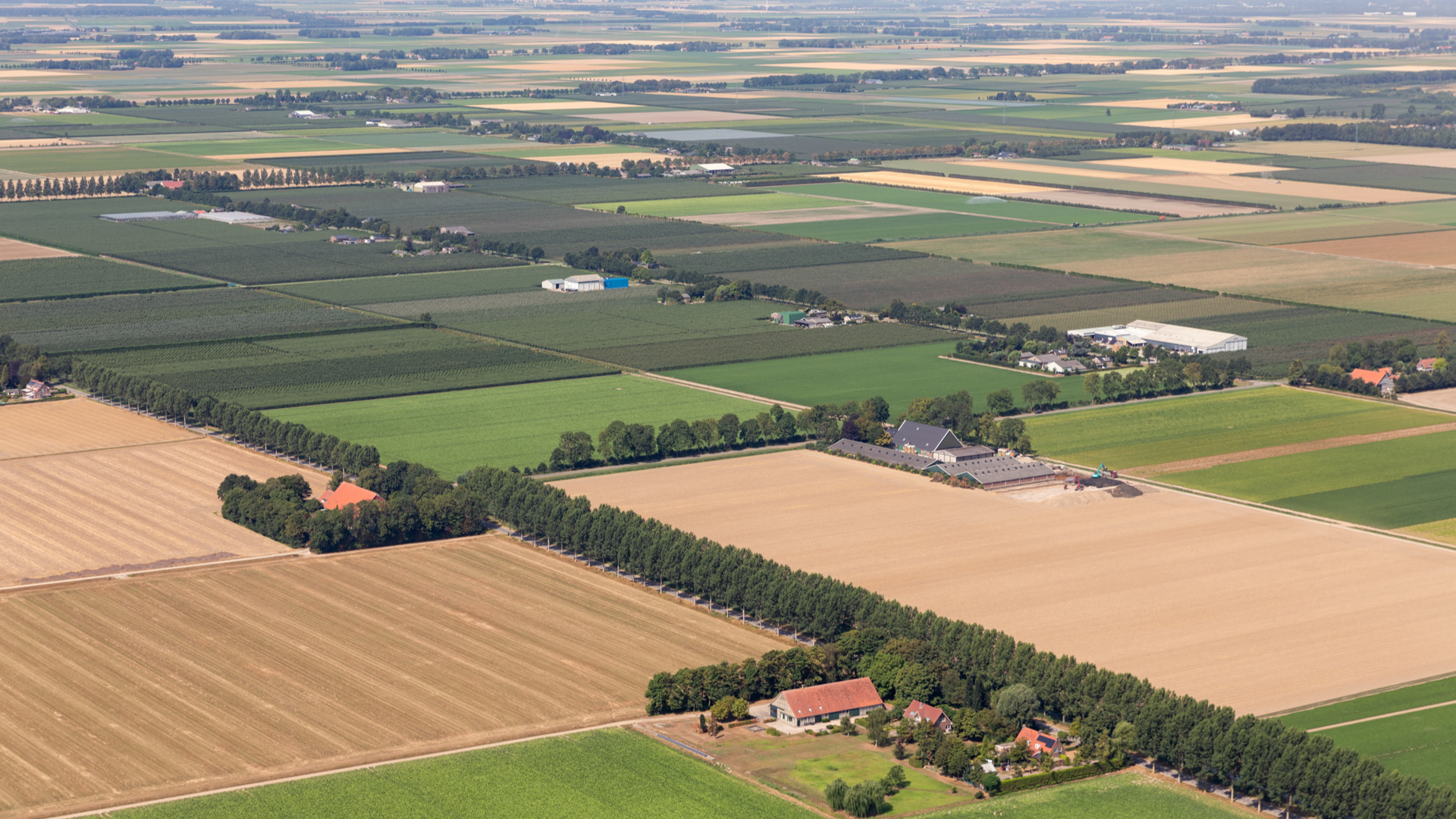 Noordoostpolder van boven