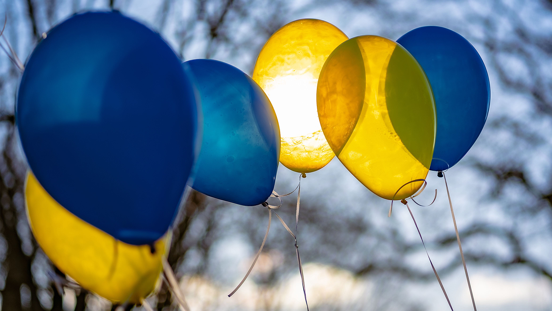 Ballonnen Oekraine