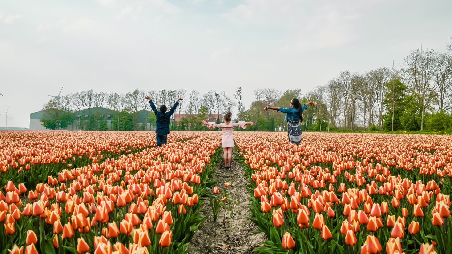 Kinderen-in-tulpenveld