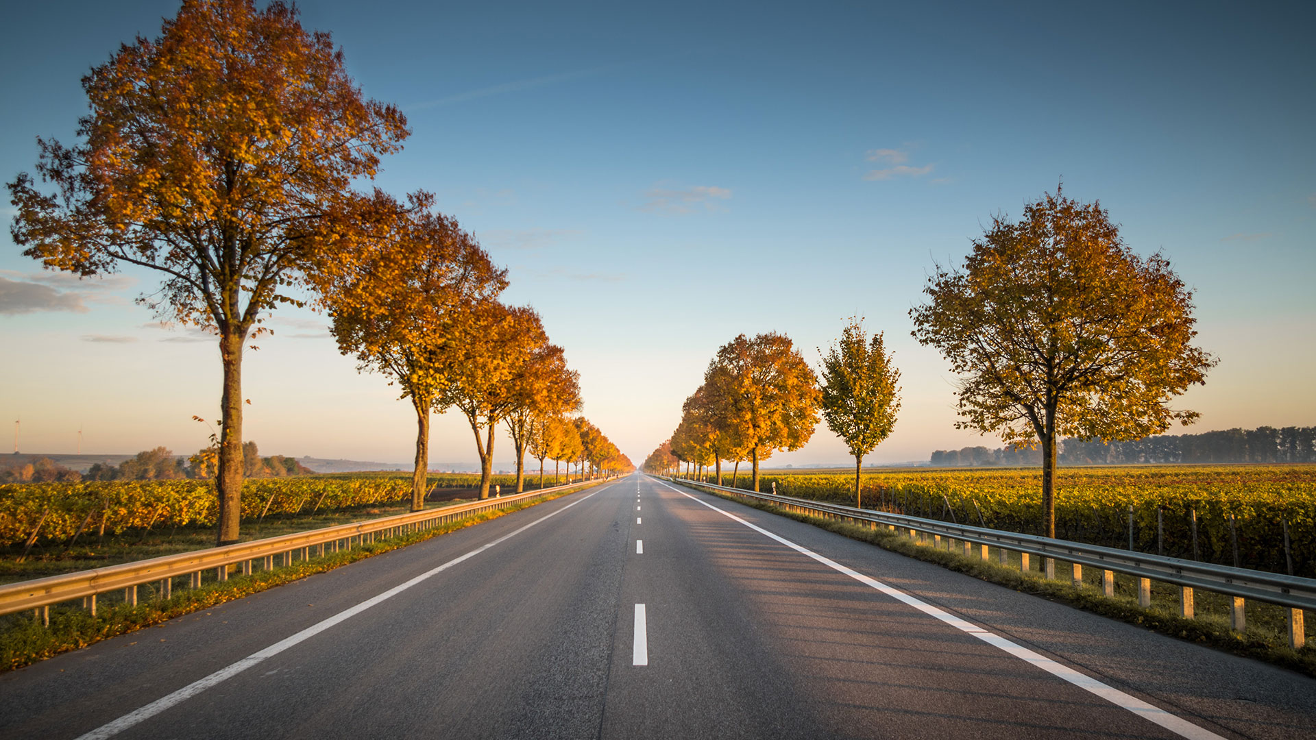 Flevoland wegen