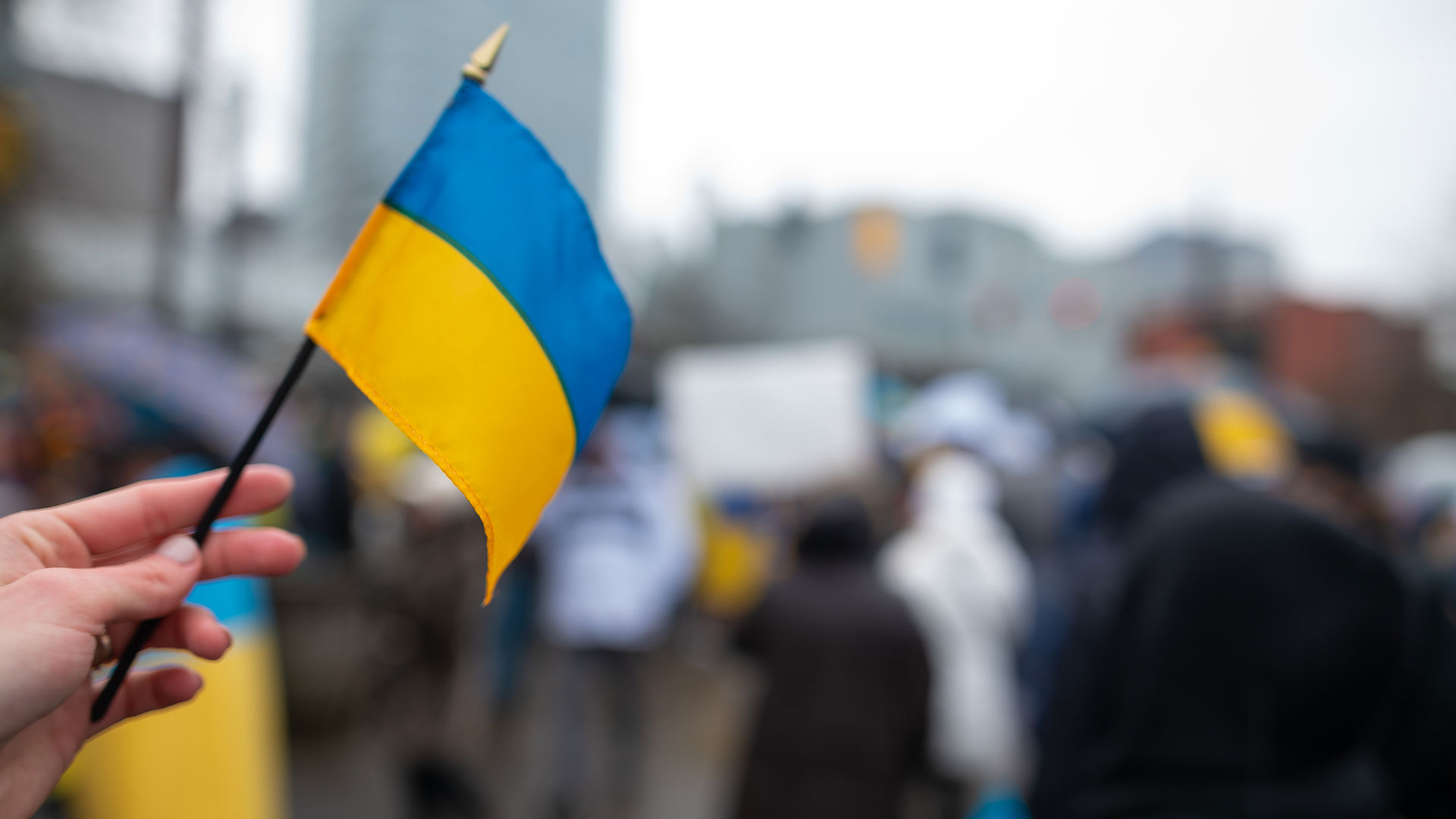 Oekraine vlag